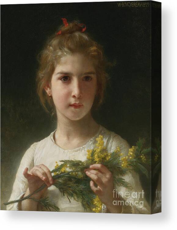 William-adolphe Bouguereau (french Canvas Print featuring the painting The Mimosa Flower by Celestial Images