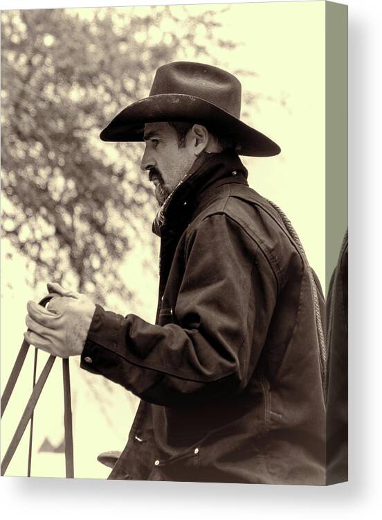 Cowboy Canvas Print featuring the photograph The Reins by Jeanne May
