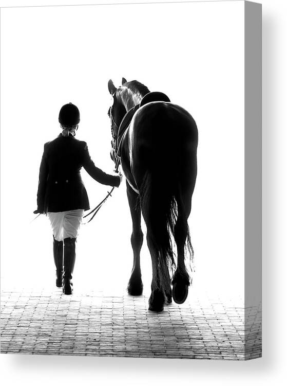Horse Canvas Print featuring the photograph Their Future Looks Bright by Ron McGinnis