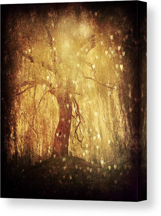 Tree Canvas Print featuring the photograph Tonight Tonight by Studio Yuki