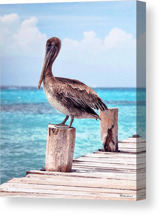 Beautiful Canvas Print featuring the photograph Treasure Coast Pelican Pier Sunrise Seascape C2 by Ricardos Creations