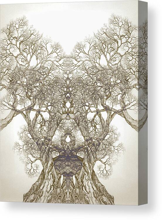 Tree Art Canvas Print featuring the digital art Tree 20 Hybrid 1 by Brian Kirchner