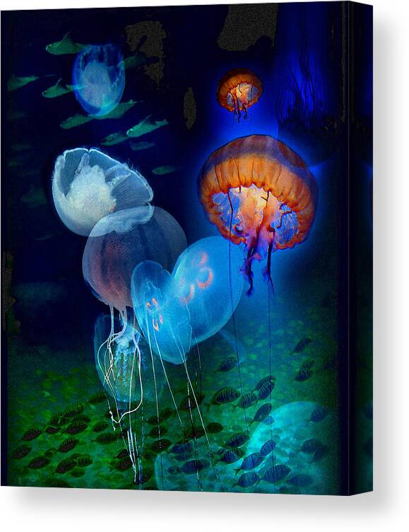 Jellies Canvas Print featuring the photograph Undersea Fantasy by Linda Olsen