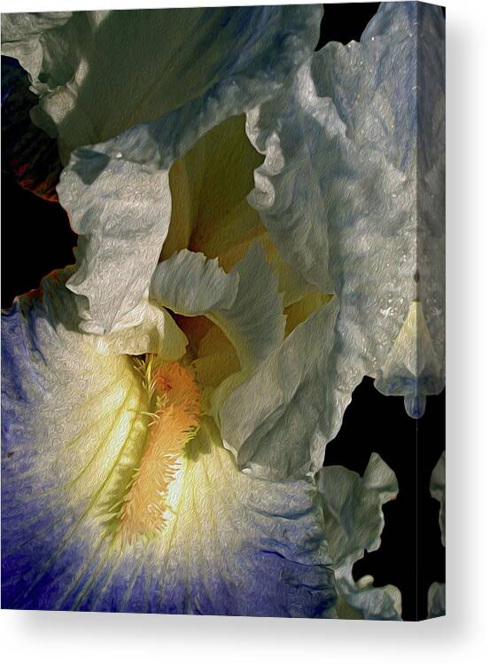 Iris Canvas Print featuring the photograph Up Close and Beautiful by Lynda Lehmann