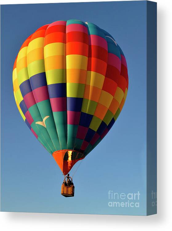 Diane Berry Canvas Print featuring the photograph Up by Diane E Berry