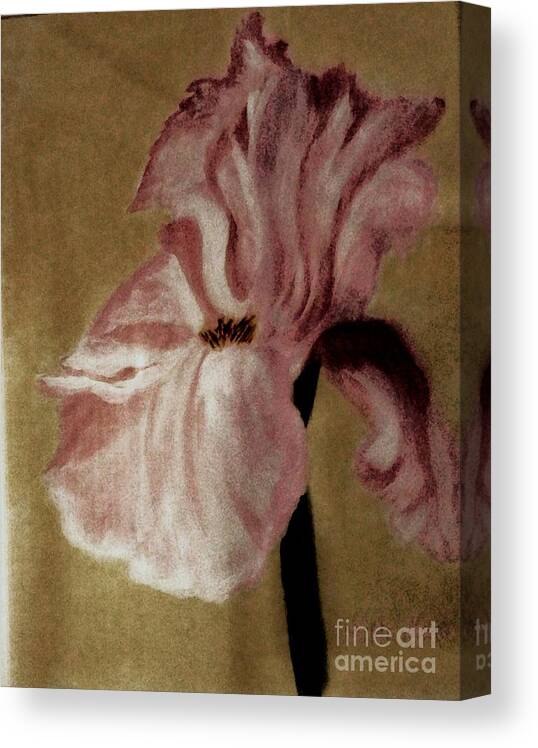 Painting Canvas Print featuring the painting Vintage Iris by Marsha Heiken