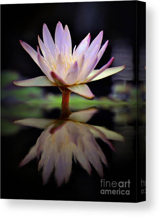 Floral Canvas Print featuring the photograph Water Lily by Savannah Gibbs