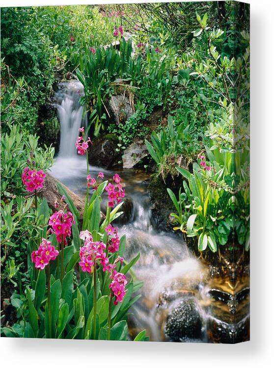Photography Canvas Print featuring the photograph Waterfall Co Usa by Panoramic Images
