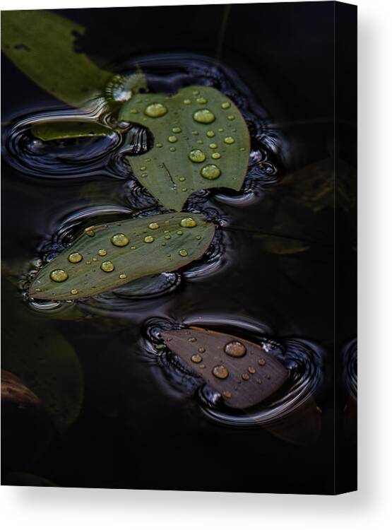 Water Canvas Print featuring the photograph Wet by Randy Hall