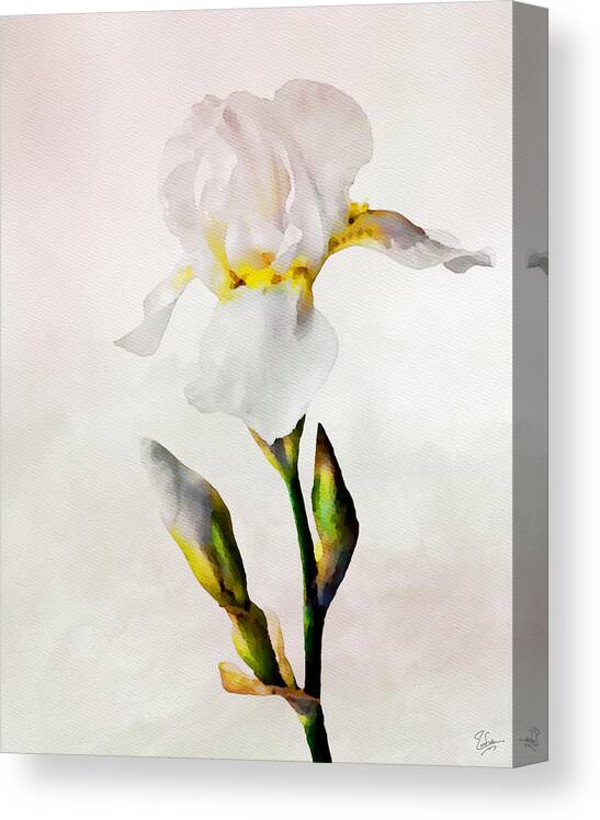 Watercolor Canvas Print featuring the photograph White Lily Faux Watercolor by Endre Balogh