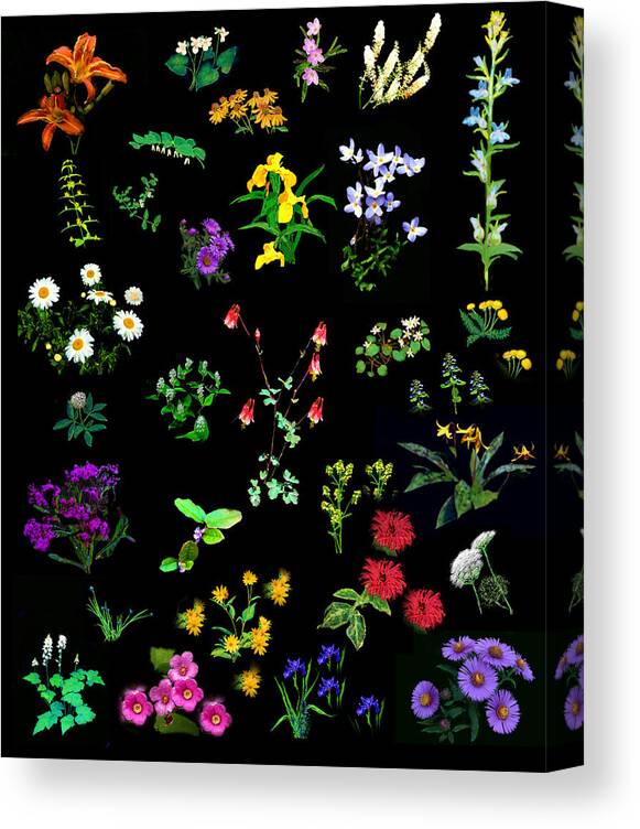 Wildflowers Canvas Print featuring the painting Wildflower Quilt by Diana Ludwig