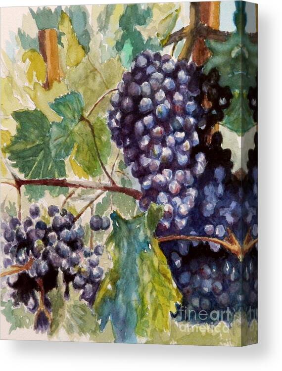 Grapes Canvas Print featuring the painting Wine Grapes by William Reed