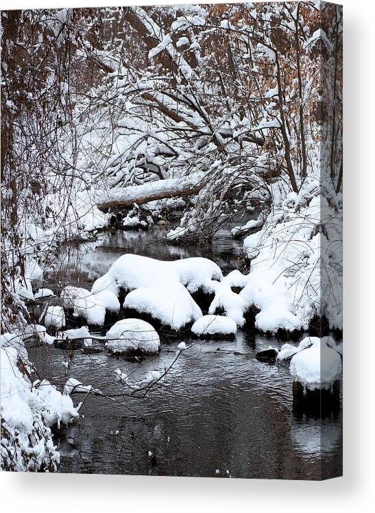 Woods Canvas Print featuring the photograph Winters Crossing by Scott Wyatt
