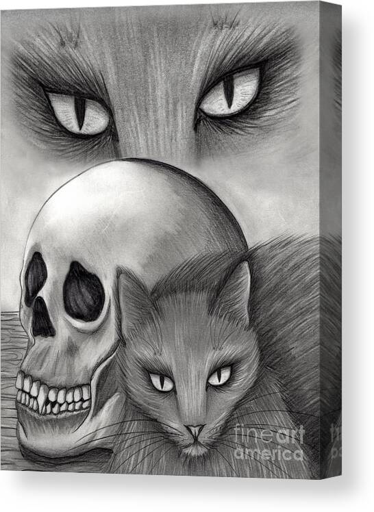 Black Cat Canvas Print featuring the drawing Witch's Cat Eyes by Carrie Hawks