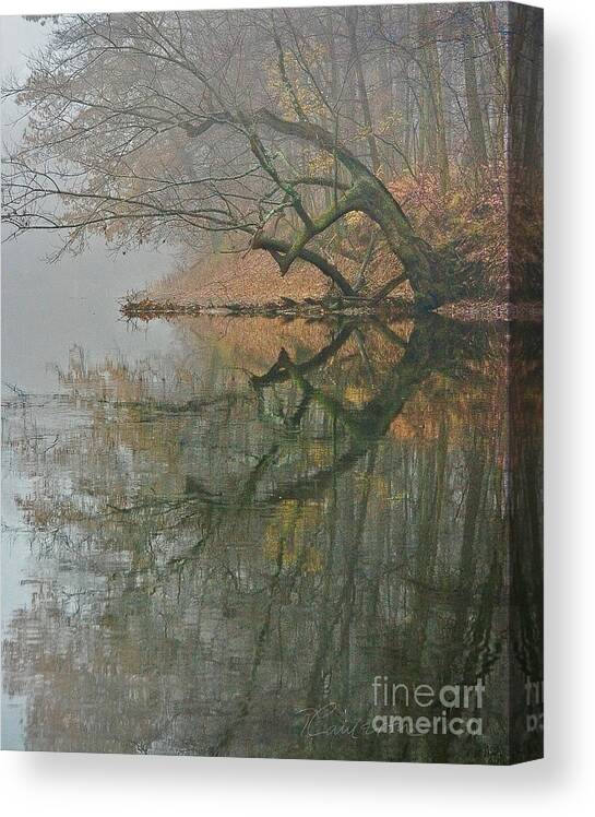 Reflection Canvas Print featuring the photograph Yearming by Tom Cameron