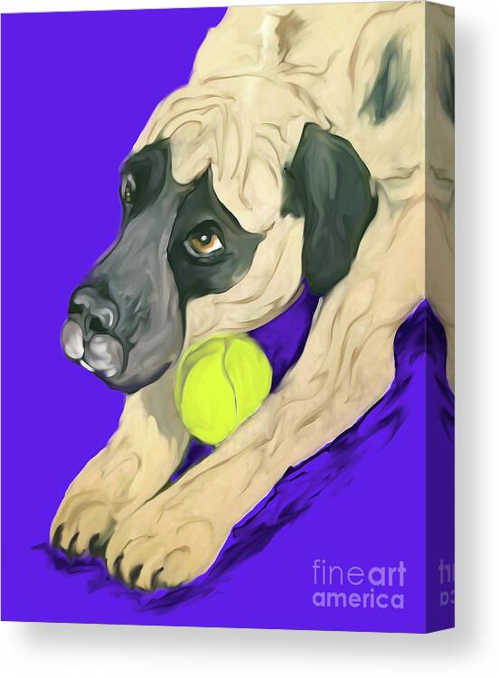 Pet Portraits Canvas Print featuring the painting Zucchini_Date With Paint Jan 22 by Ania M Milo