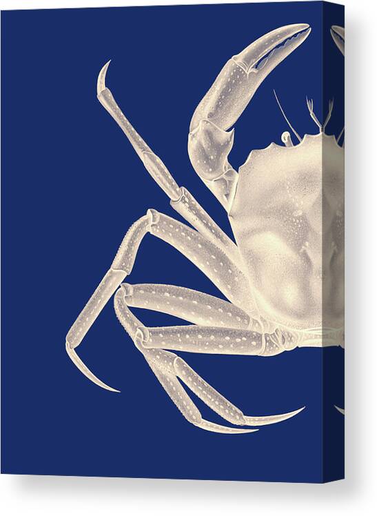 Steampunk Canvas Print featuring the painting Contrasting Crab In Navy Blue A by Fab Funky