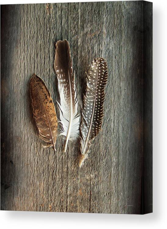 Black Canvas Print featuring the photograph Feather Collection II #1 by Sue Schlabach