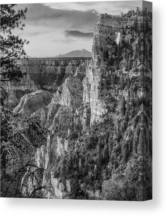 Disk1216 Canvas Print featuring the photograph North Rim, Grand Canyon #1 by Tim Fitzharris