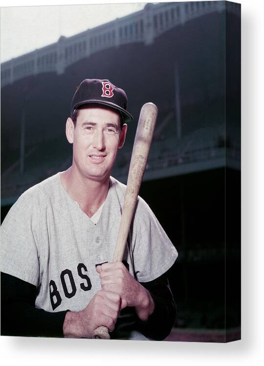 People Canvas Print featuring the photograph Ted Williams by Hulton Archive