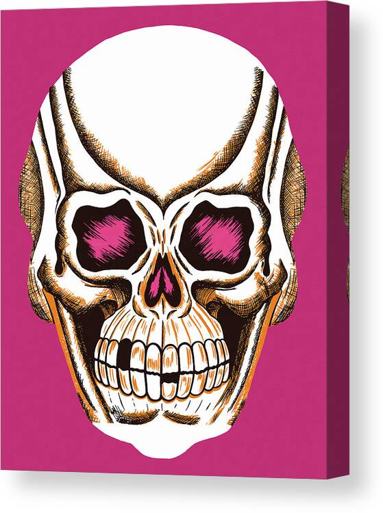 Afraid Canvas Print featuring the drawing Skull by CSA Images