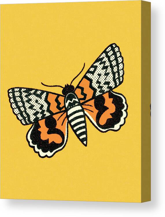 Animal Canvas Print featuring the drawing Butterfly #12 by CSA Images