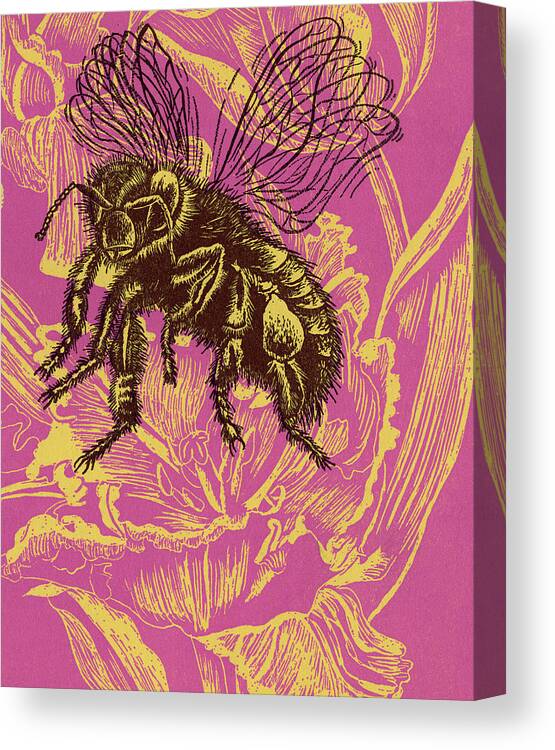 Animal Canvas Print featuring the drawing Bee #15 by CSA Images