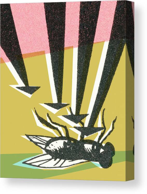 Animal Canvas Print featuring the drawing Insect #19 by CSA Images