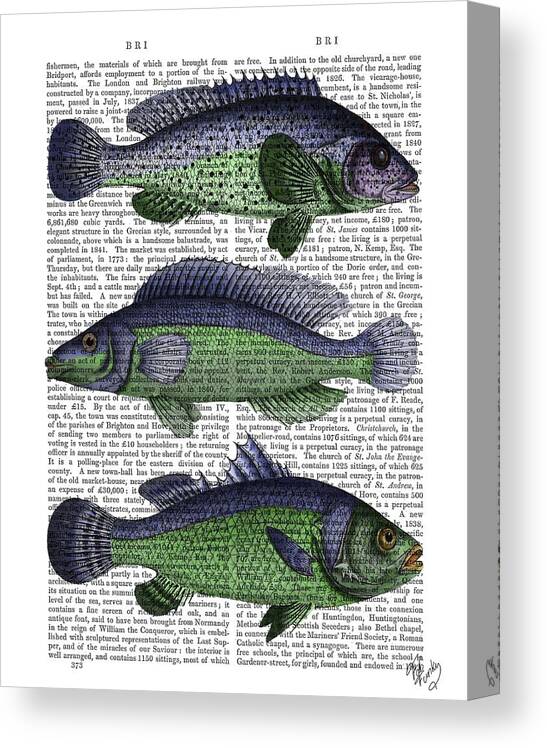 Fabfunky Canvas Print featuring the painting Blue And Green Fish Trio #2 by Fab Funky