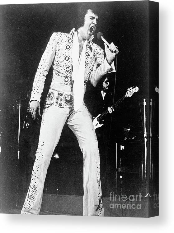 Rock Music Canvas Print featuring the photograph Elvis Presley Singing In Concert #2 by Bettmann