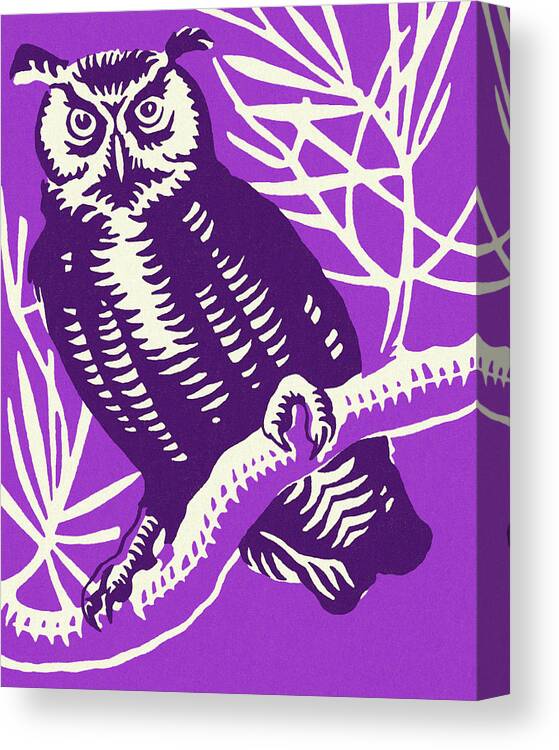 Animal Canvas Print featuring the drawing Owl Perched on a Branch #2 by CSA Images