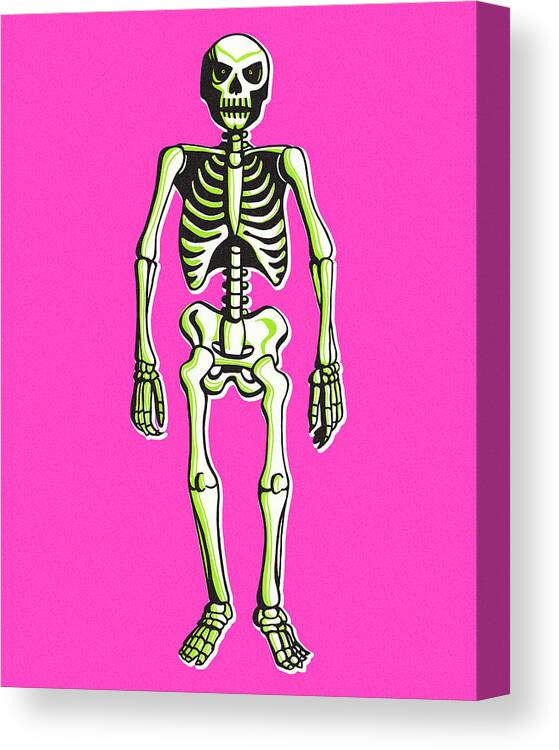 Afraid Canvas Print featuring the drawing Skeleton #2 by CSA Images