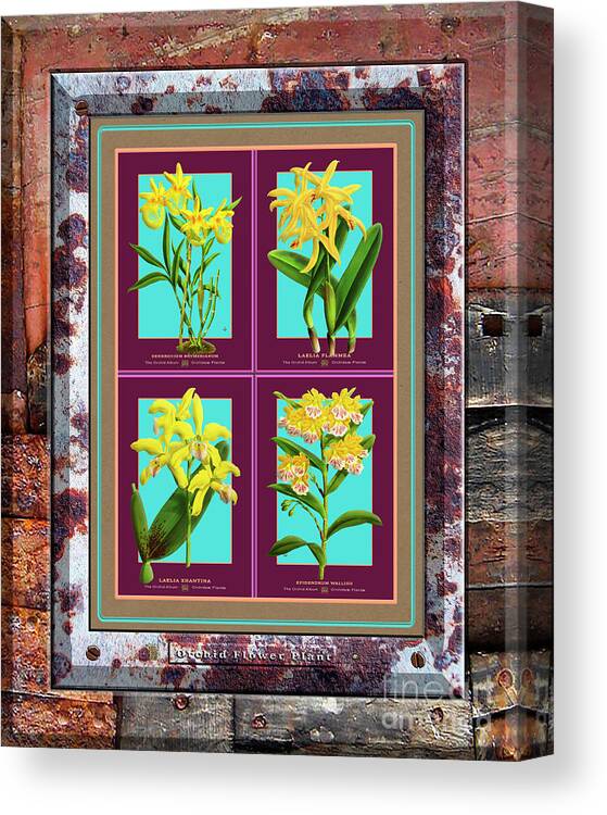 Vintage Canvas Print featuring the painting Antique Orchids Quatro on Rusted Metal and Weathered Wood Plank #297 by Baptiste Posters