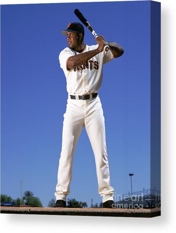 Arizona Canvas Print featuring the photograph Barry Bonds by Andy Hayt