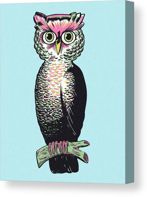 Animal Canvas Print featuring the drawing Owl #30 by CSA Images