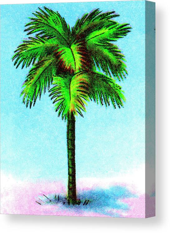 Blue Background Canvas Print featuring the drawing Palm Tree by CSA Images