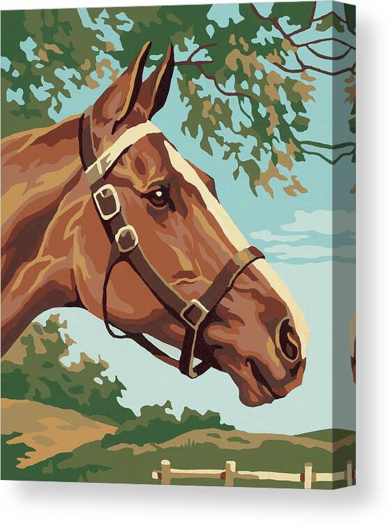Animal Canvas Print featuring the drawing Brown Horse #6 by CSA Images
