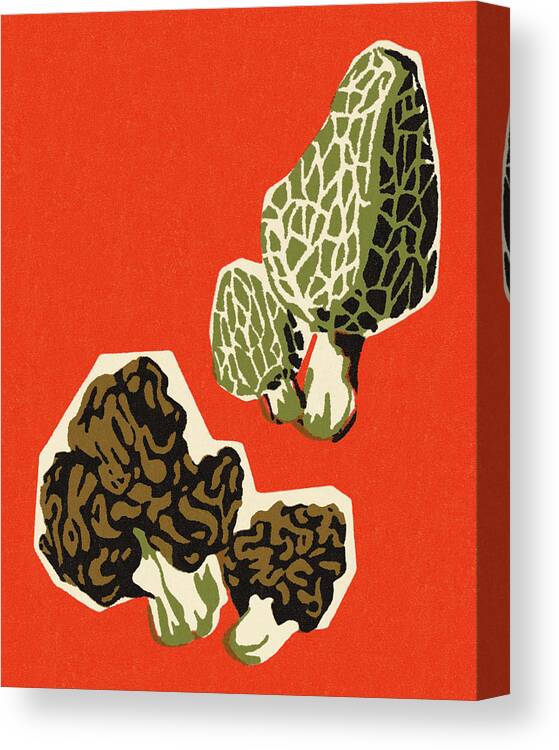Campy Canvas Print featuring the drawing Mushrooms #8 by CSA Images