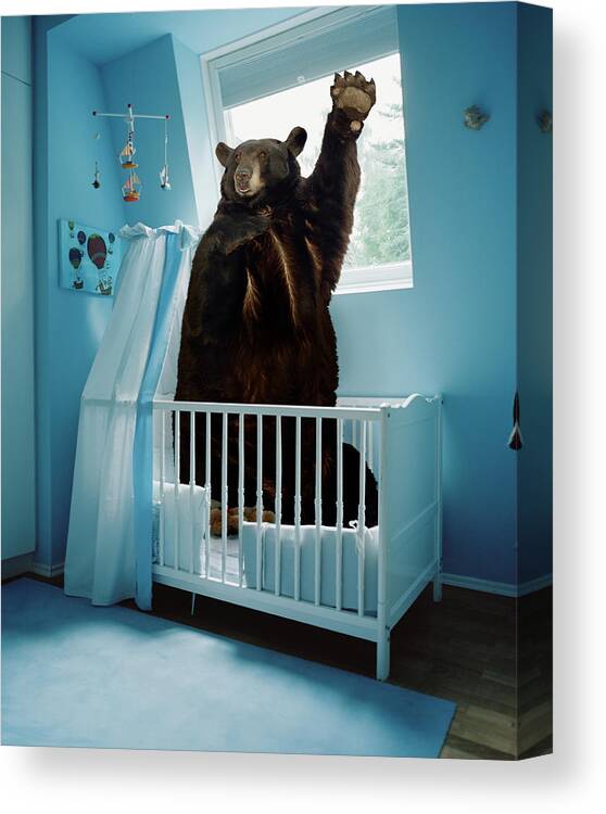 Out Of Context Canvas Print featuring the photograph A Bear Inside A Crib In A Blue Room by Matthias Clamer