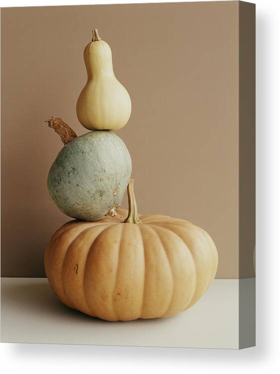 Gourd Canvas Print featuring the photograph A Pumpkin And Two Gourds by Victoria Pearson