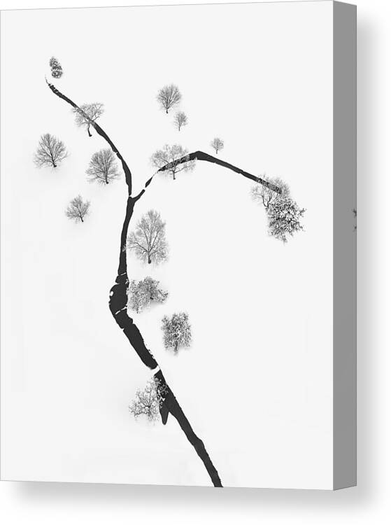 Winter Canvas Print featuring the photograph A Tree And Trees by Mei Xu
