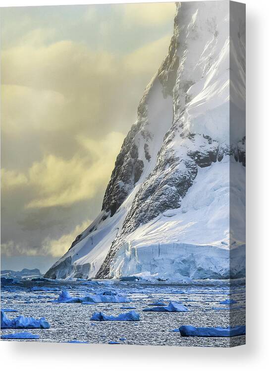 Scenics Canvas Print featuring the photograph Antarctica by Gilad Rom