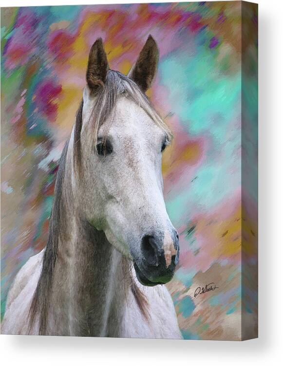 Portrait Canvas Print featuring the painting Arabian Horse DWP1001805 by Dean Wittle
