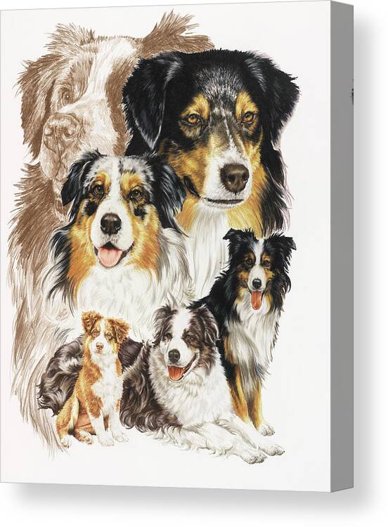 Australian Shepherd Dog Canvas Print featuring the painting Australian Shepherds by Barbara Keith