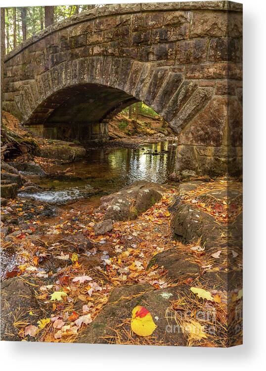 Maine Canvas Print featuring the photograph Autumn at Hadlock by Karin Pinkham