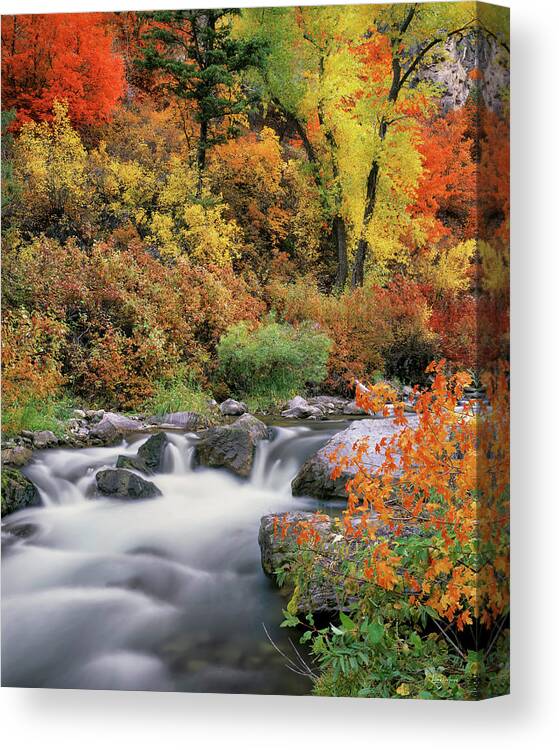 Idaho Scenics Canvas Print featuring the photograph Autumn Splendor by Leland D Howard
