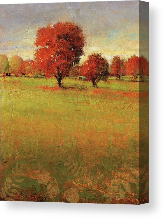Autumn Tree Field Canvas Print featuring the photograph Autumnscape II by Tim O?toole