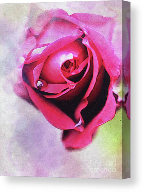 Digital Photography Canvas Print featuring the digital art Beauty by Tracey Lee Cassin