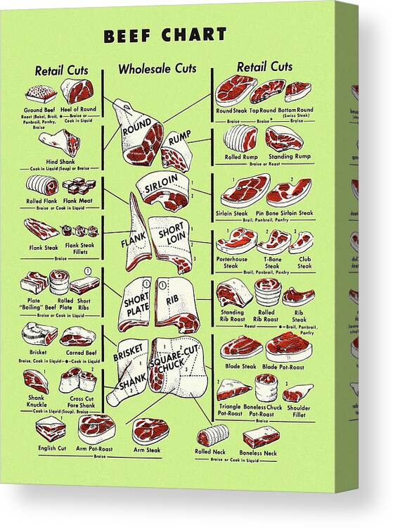 Animal Canvas Print featuring the drawing Beef Chart by CSA Images