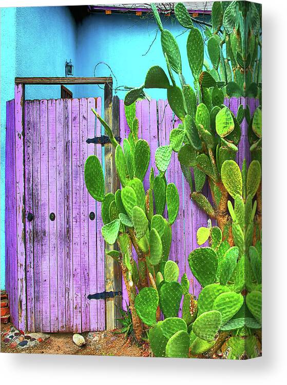 Southwest Canvas Print featuring the photograph Blue and Purple Door, Southwest Color by Don Schimmel